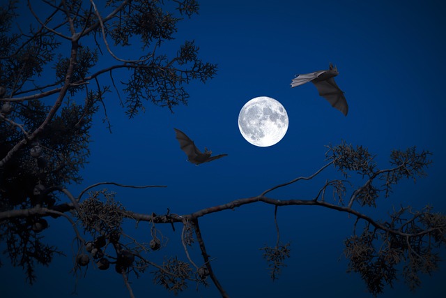 Bats use echolocation to navigate and hunt