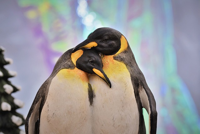 Emperor Penguins Amazing things to know about these Iconic Birds