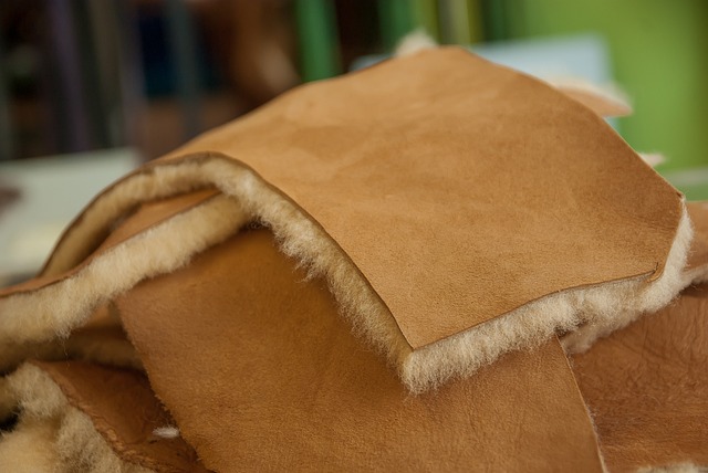 Sheepskin is a popular material for leather production