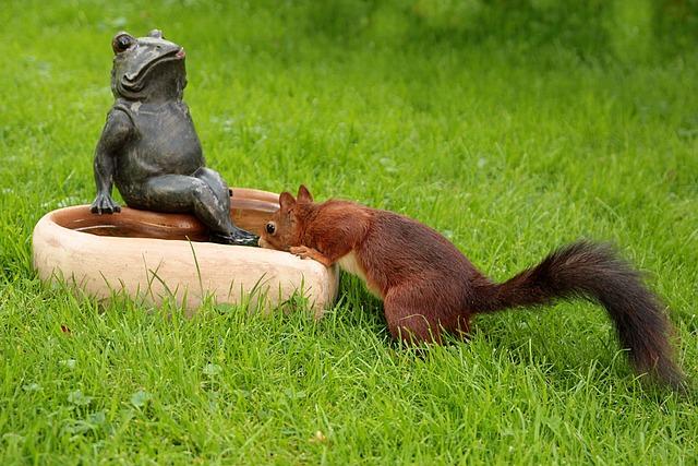 Squirrels need water to survive, so providing a water source in your backyard can help attract them.