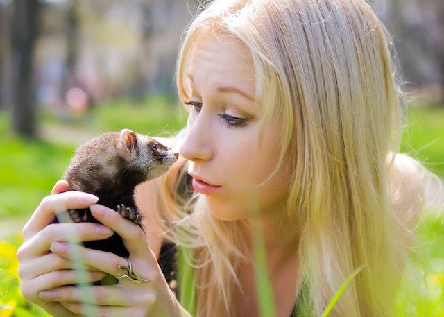 Ferrets: Playful and Inquisitive Pets with Unique Personalities
